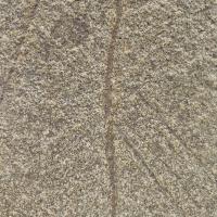 Slate Light Каменный шпон Rainforest Brown (Рэйнфорест Браун) 1220х2440мм Мрамор