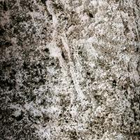 Каменный шпон Translucent Silver Grey (силвер Грей) 122x61см (0,74 м.кв) Слюда