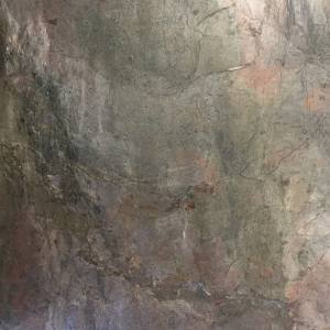 Burning Forest_myca2