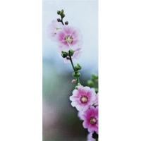 Фотообои AFH_2036 (1 x 2,45м)