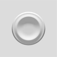 Европласт Розетка 1.56.702 (480х43хмм). Полиуретан
