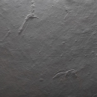 Каменный шпон Ecostone Arcobaleno Colore (Аркобалено Колор) 240x120см (2,88 м.кв) Сланец