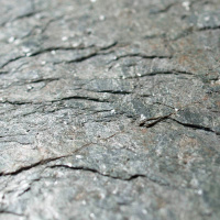 Каменный шпон EcoStone Mare (Маре) 122x61см (0,74 м.кв) Слюда