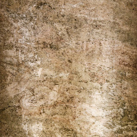 Каменный шпон Translucent Blanco (Бланко) 122x61см (0,74 м.кв) Сланец