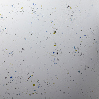Fenice3