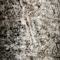 Каменный шпон EcoStone Silver Grey (Силвер Грей) 122x61см (0,74 м.кв) Слюда