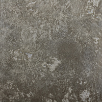 Fenice4