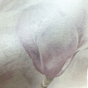 Пинегин Фреска фактура Silk